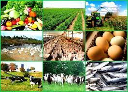 Agriculture Farm Business
