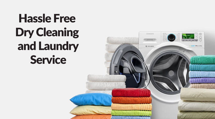 Laundry & Pest Control Service